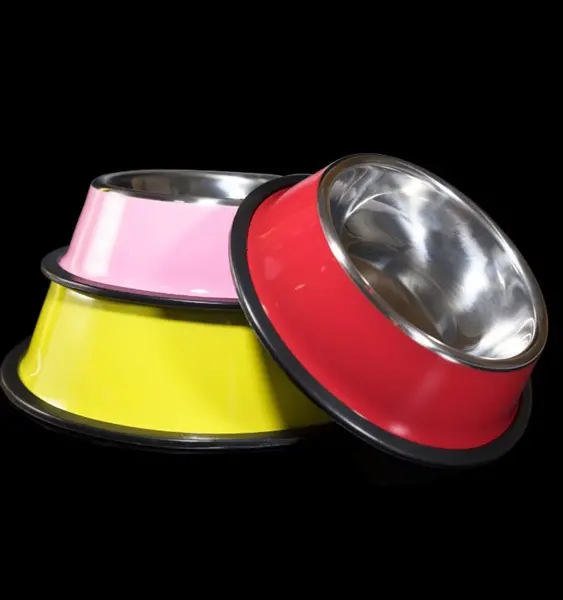 colourful cat bowls and feeder