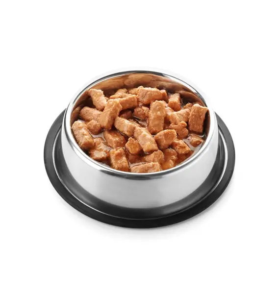 dog wet food in dubai