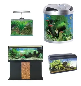 aquarium fish tanks small and large all sizes at paws n claws pets in dubai