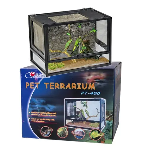 reptile terrariums in UAE mirdif Dubai