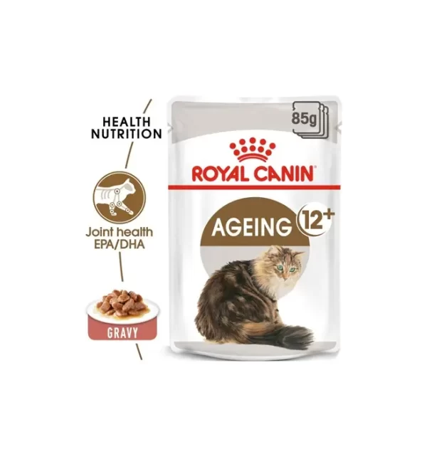 RC Ageing 12+ Wet Food in Dubai Mirdif at Paws & Claws Pets